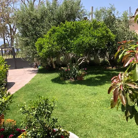 Olive House. Pensjonat Wlora