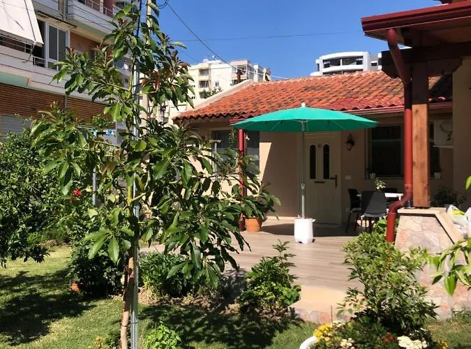 בית הארחה Olive House.